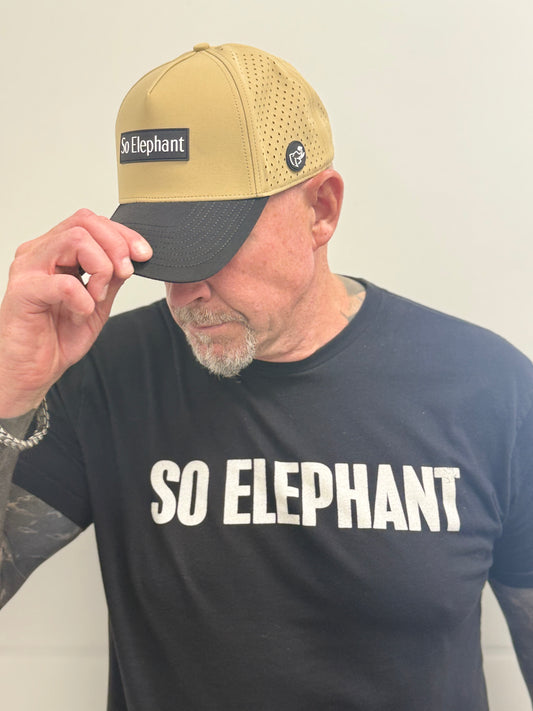 Legacy Mode Snapback Hat — So Elephant