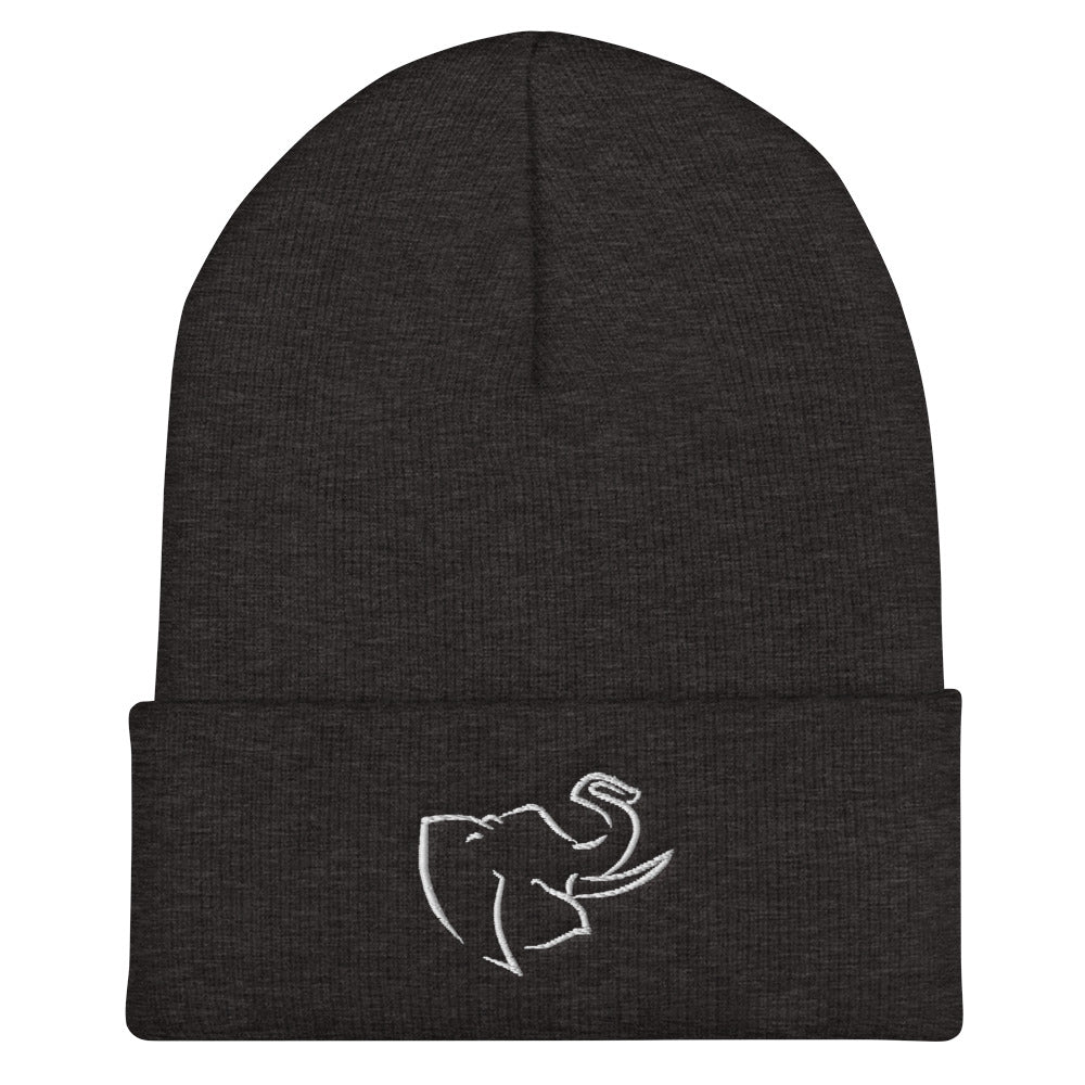 Hat/ Beanie
