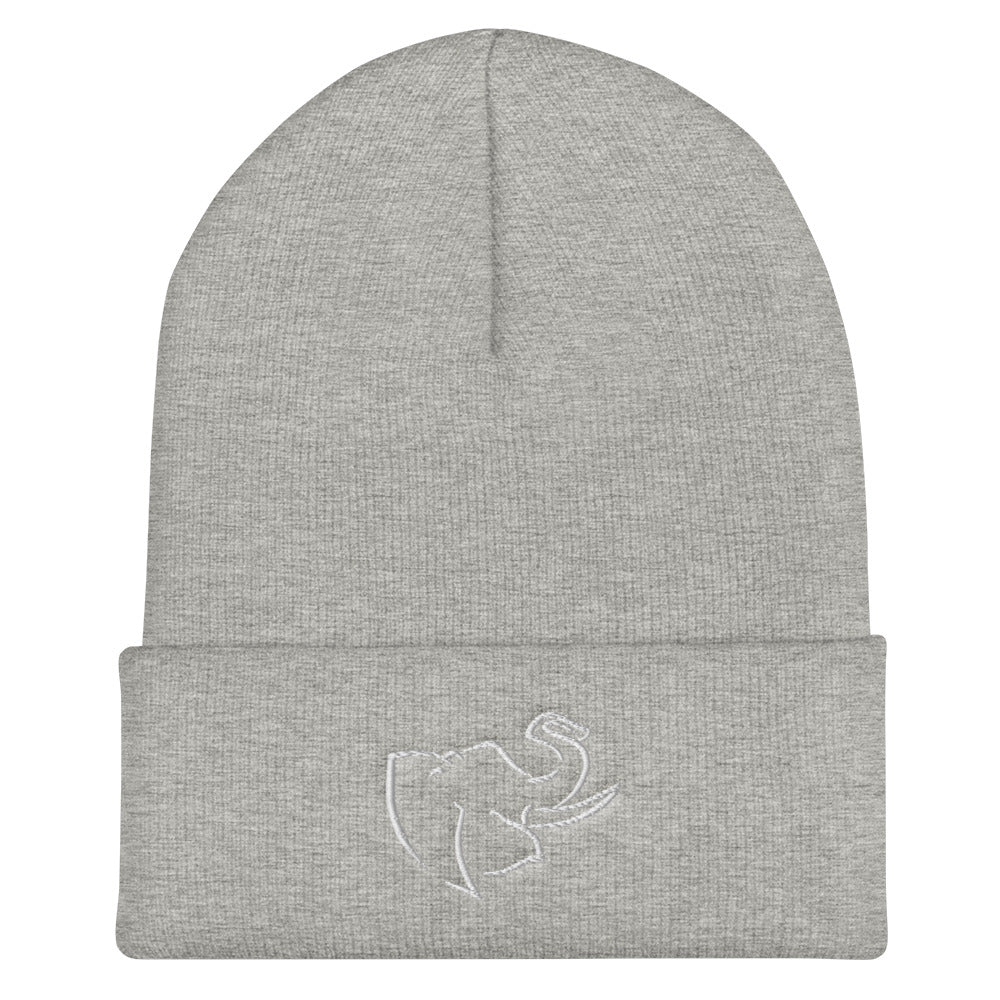 Hat/ Beanie