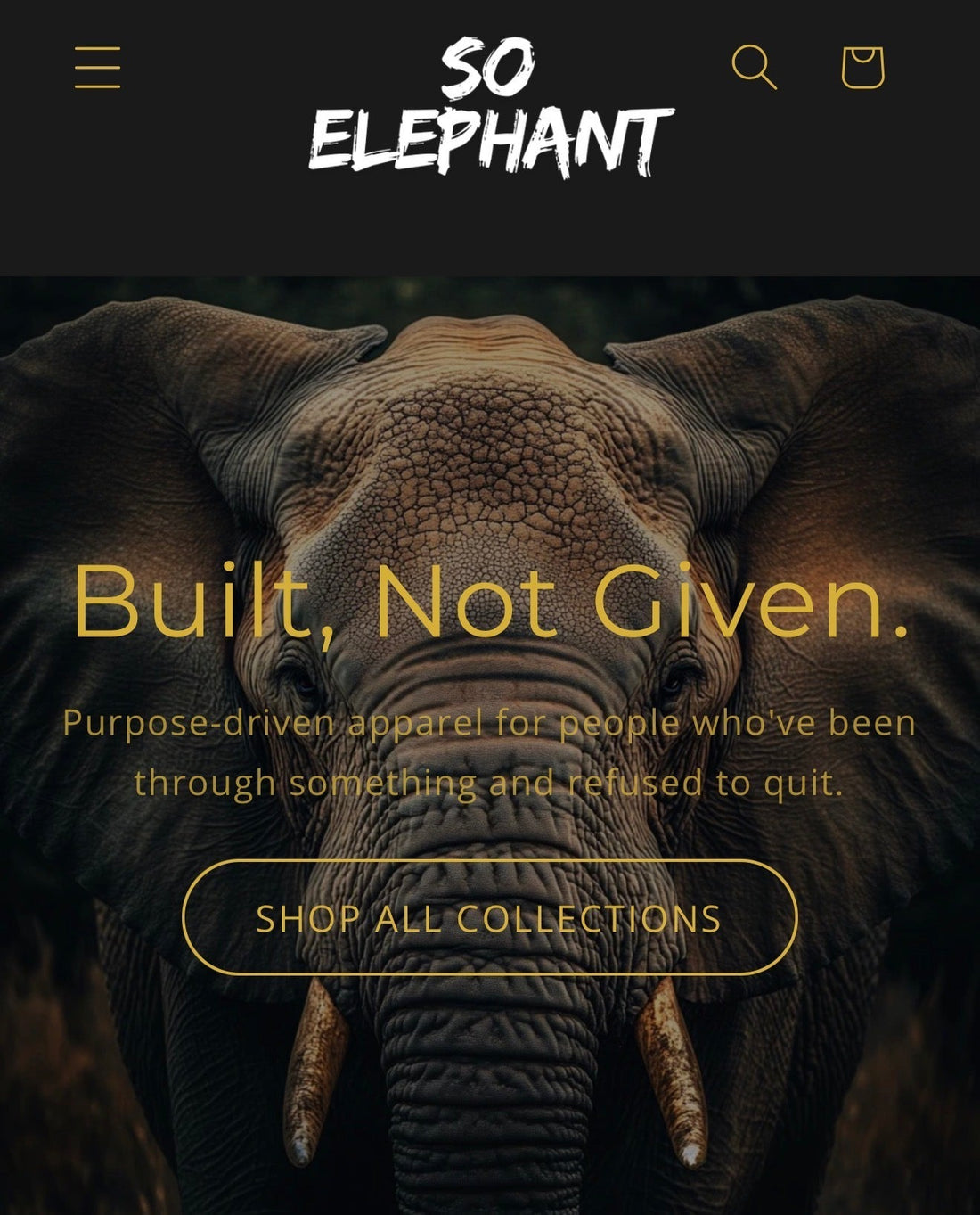 Why I Started So Elephant