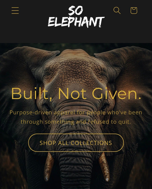 Why I Started So Elephant