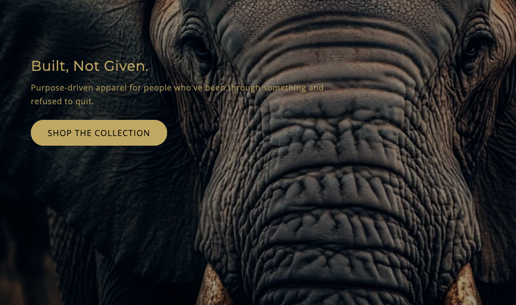The Elephant Never Forgets — Why Your Past Is Your Power