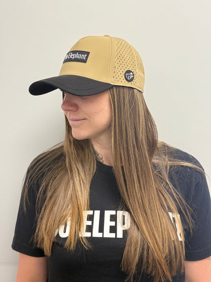 Legacy Mode Snapback Tan & Black SE Front