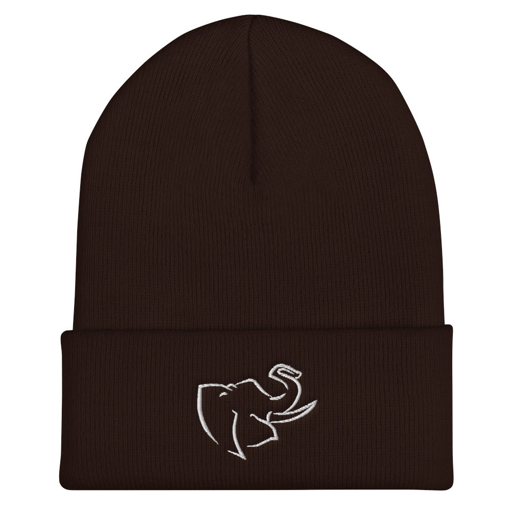 Hat/ Beanie