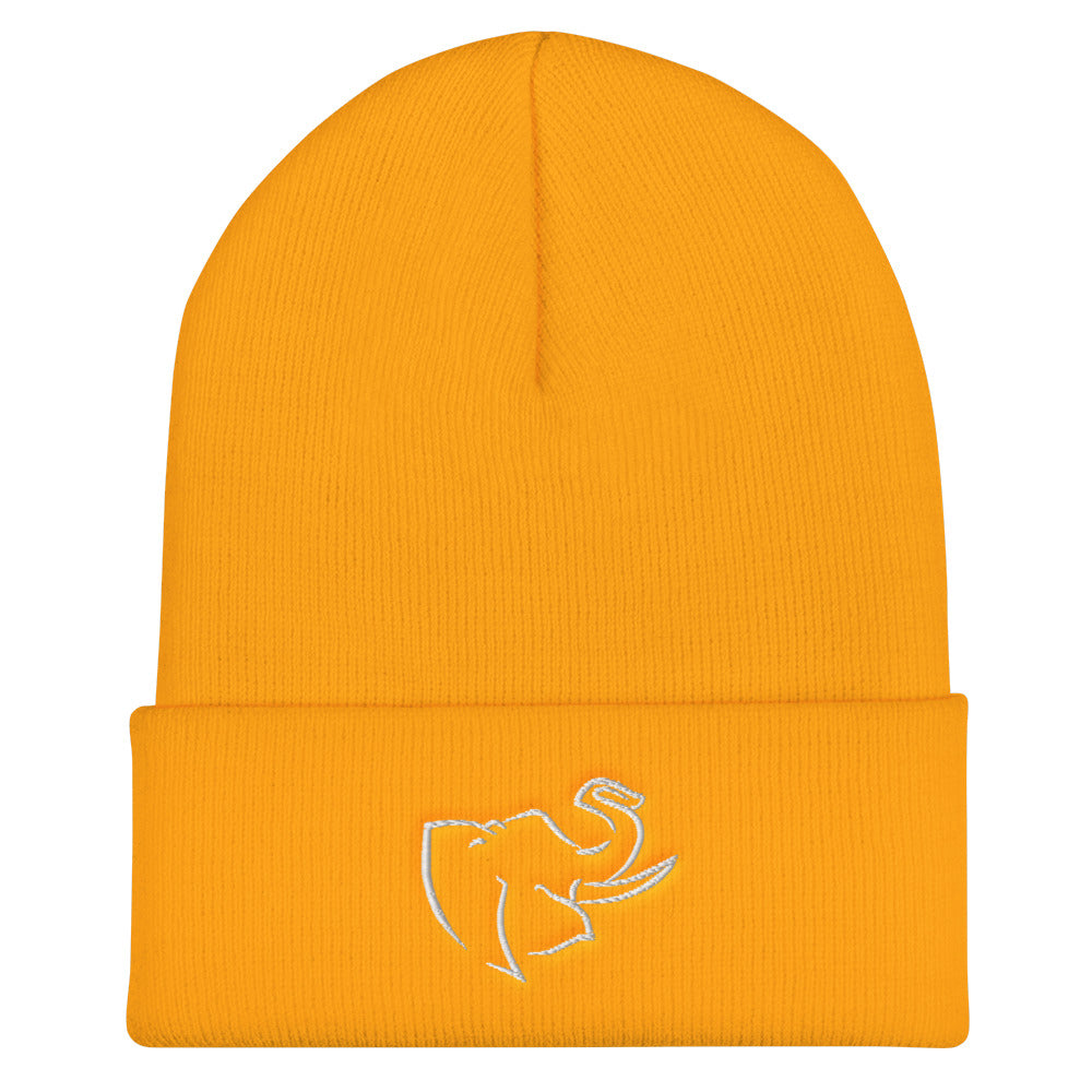 Hat/ Beanie