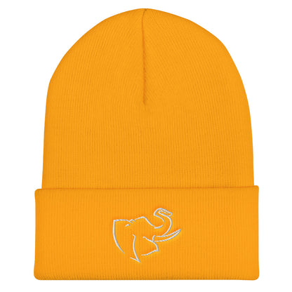 Hat/ Beanie