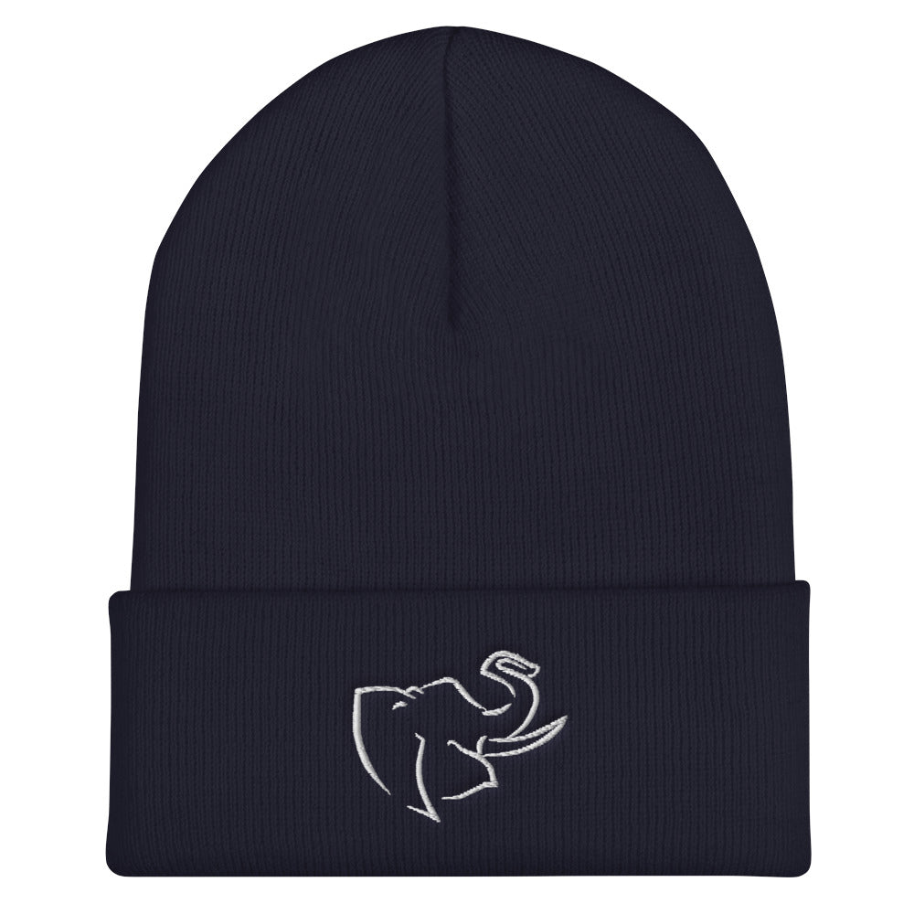 Hat/ Beanie