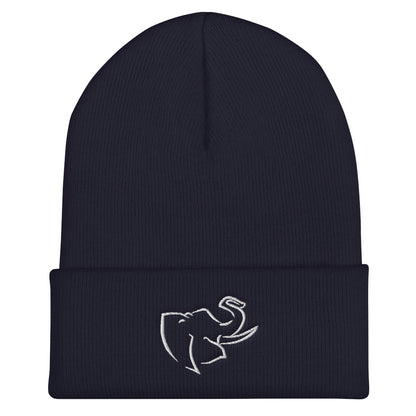 Hat/ Beanie