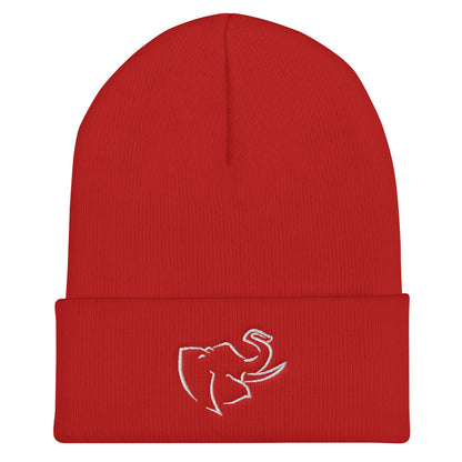 Hat/ Beanie
