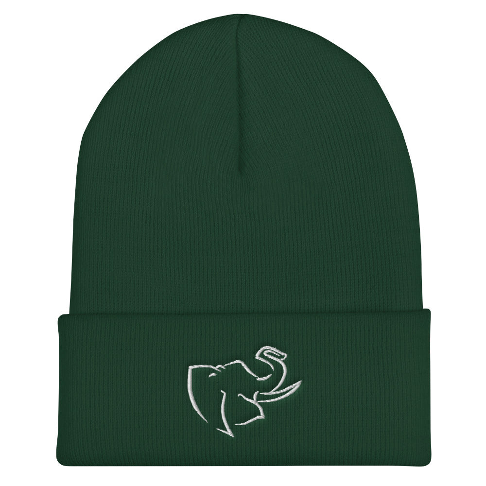 Hat/ Beanie