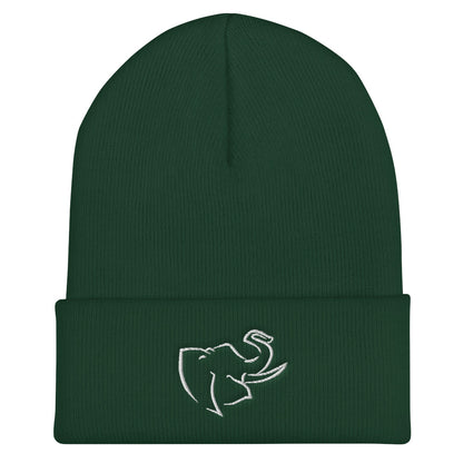 Hat/ Beanie